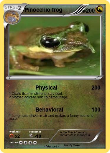Pokemon Pinocchio frog