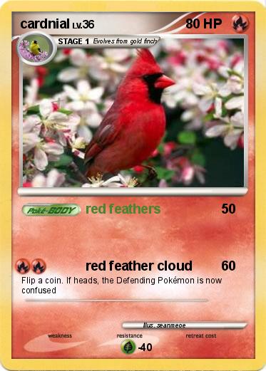 Pokemon cardnial