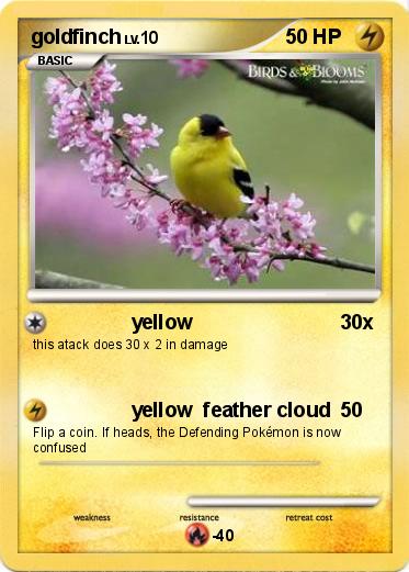 Pokemon goldfinch