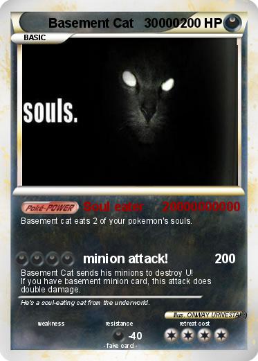 Pokemon Basement Cat   30000