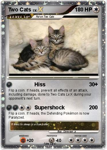 Pokemon Two Cats
