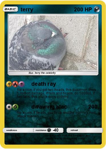 Pokemon terry