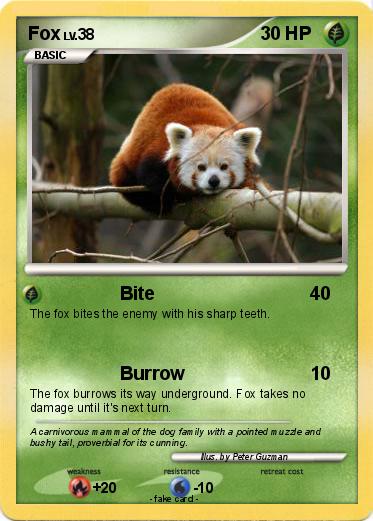 Pokemon Fox