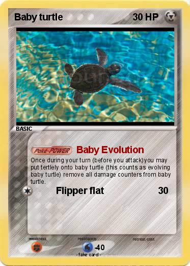 Pokemon Baby turtle