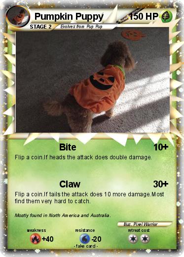 Pokemon Pumpkin Puppy