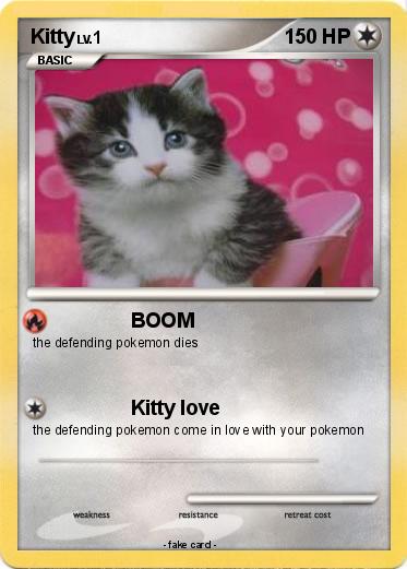 Pokemon Kitty