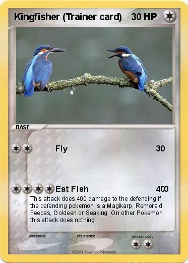 Pokemon Kingfisher (Trainer card)