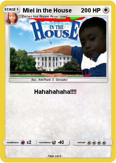 Pokemon Miel in the House