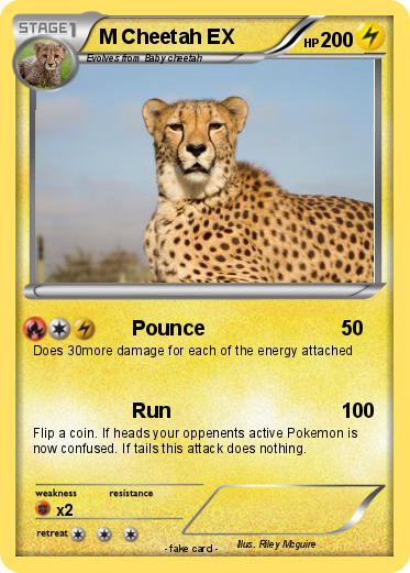 Pokemon M Cheetah EX