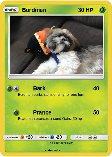 Pokemon Bordman