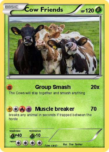 Pokemon Cow Friends