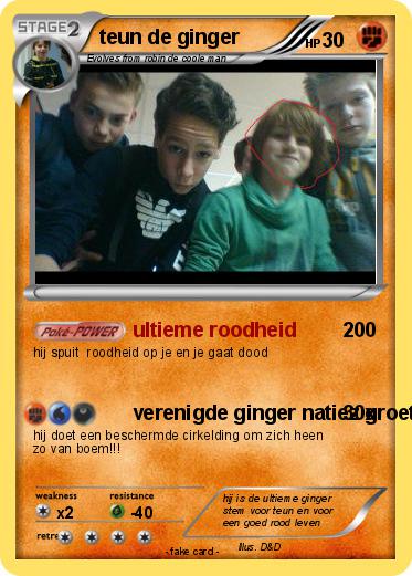 Pokemon teun de ginger