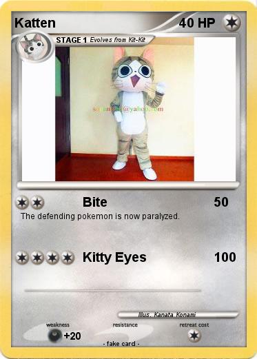 Pokemon Katten