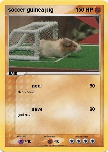 Pokemon soccer guinea pig