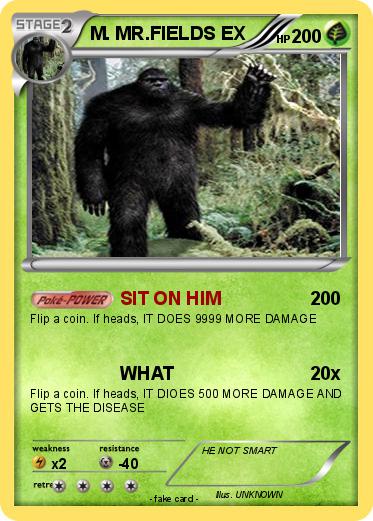 Pokemon M. MR.FIELDS EX