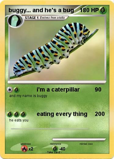 Pokemon buggy... and he's a bug