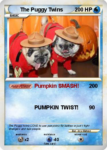 Pokemon The Puggy Twins