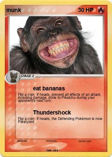 Pokemon munk