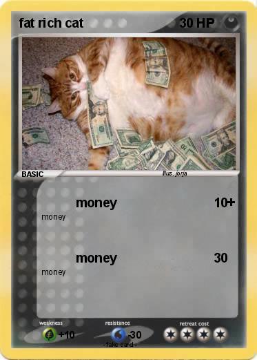 Pokemon fat rich cat