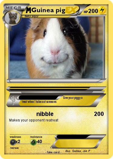 Pokemon Guinea pig