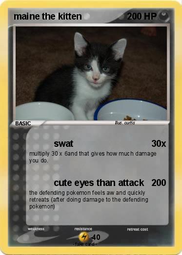 Pokemon maine the kitten