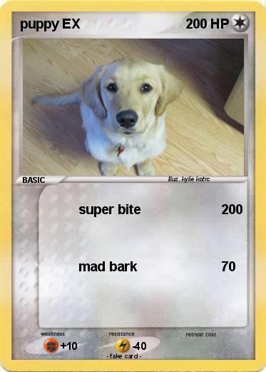 Pokemon puppy EX