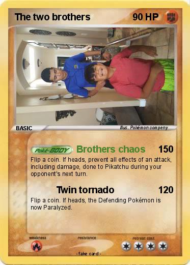 Pokemon The two brothers