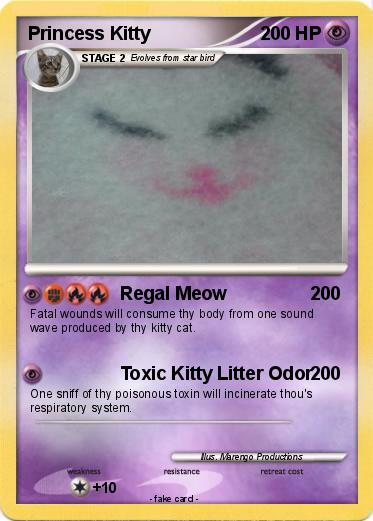 Pokemon Princess Kitty
