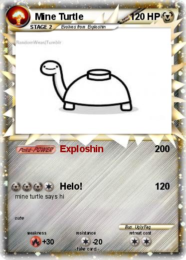 Pokemon Mine Turtle