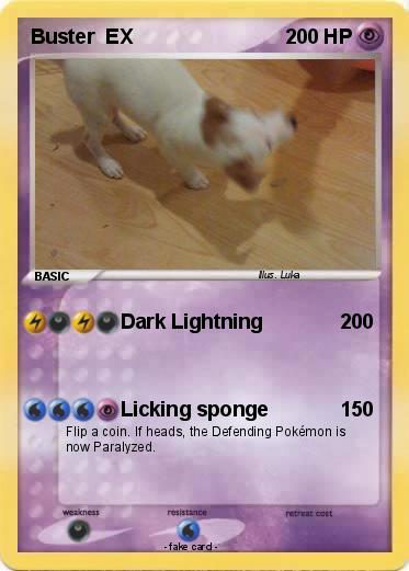 Pokemon Buster  EX