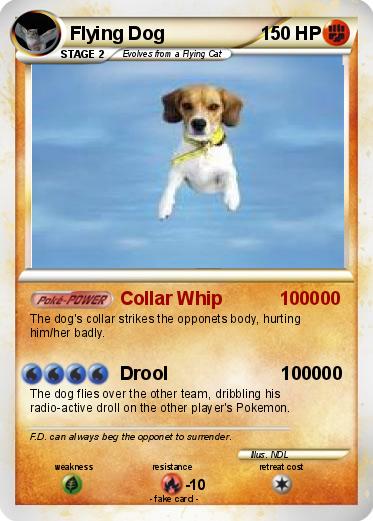 Pokemon Flying Dog