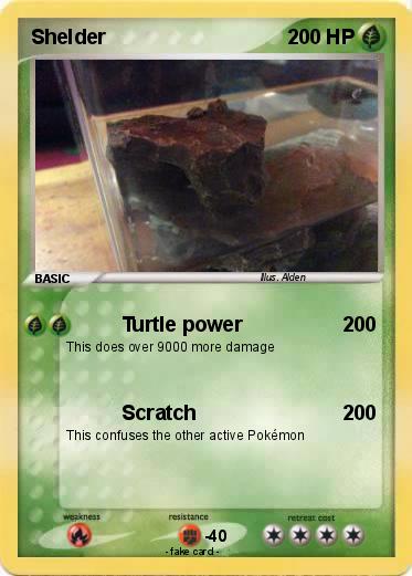 Pokemon Shelder