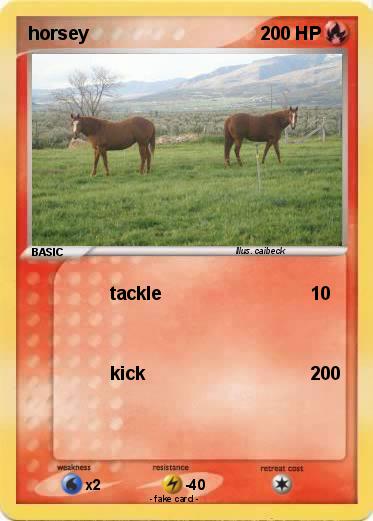 Pokemon horsey