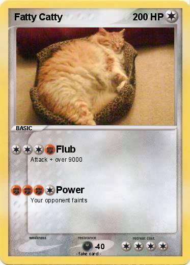 Pokemon Fatty Catty