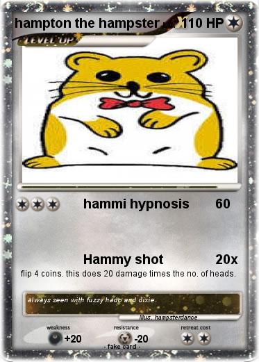 Pokemon hampton the hampster