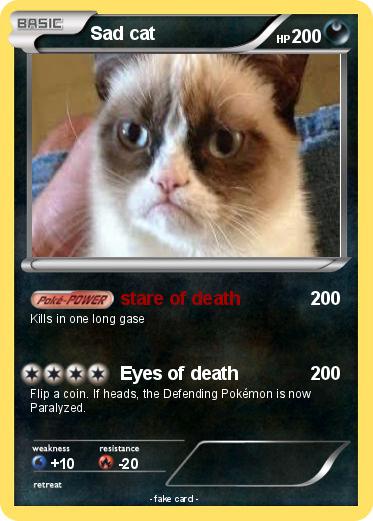 Pokemon Sad cat