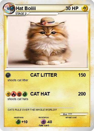 Pokemon Hat Boiiii