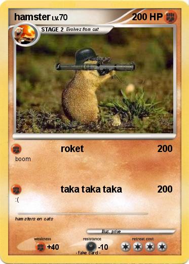 Pokemon hamster