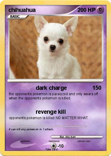 Pokemon chihuahua