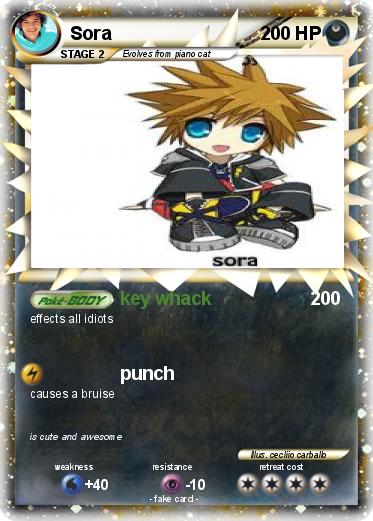 Pokemon Sora