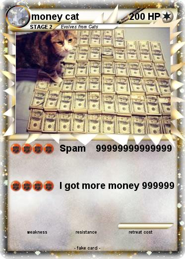 Pokemon money cat