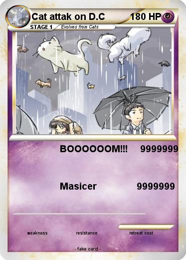 Pokemon Cat attak on D.C