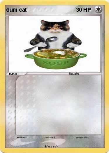 Pokemon dum cat