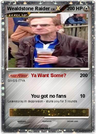 Pokemon Wealdstone Raider