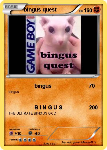 Pokemon bingus quest