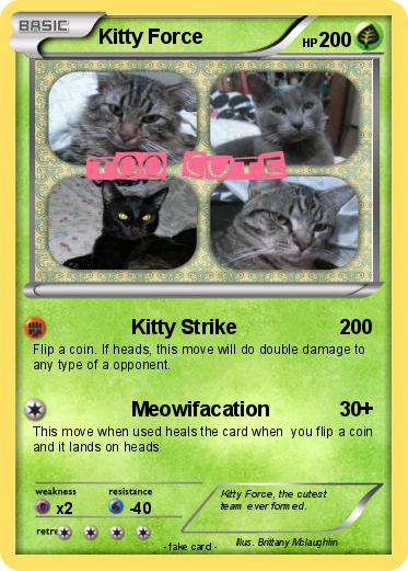 Pokemon Kitty Force