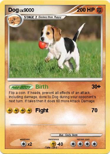 Pokemon Dog