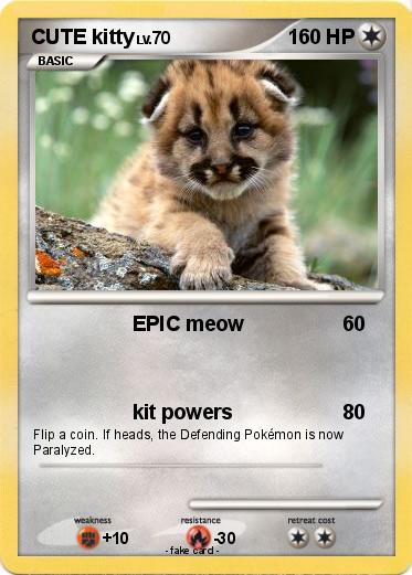 Pokemon CUTE kitty