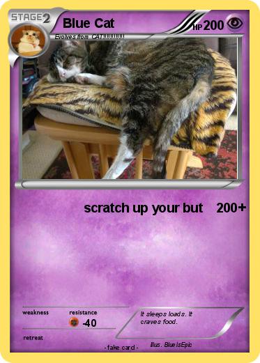 Pokemon Blue Cat