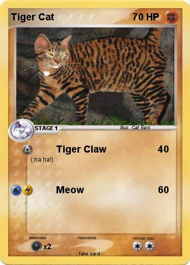 Pokemon Tiger Cat